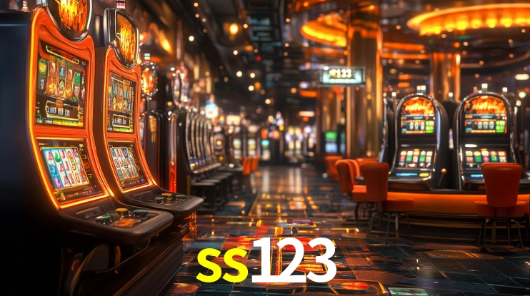 ss123 App Interface